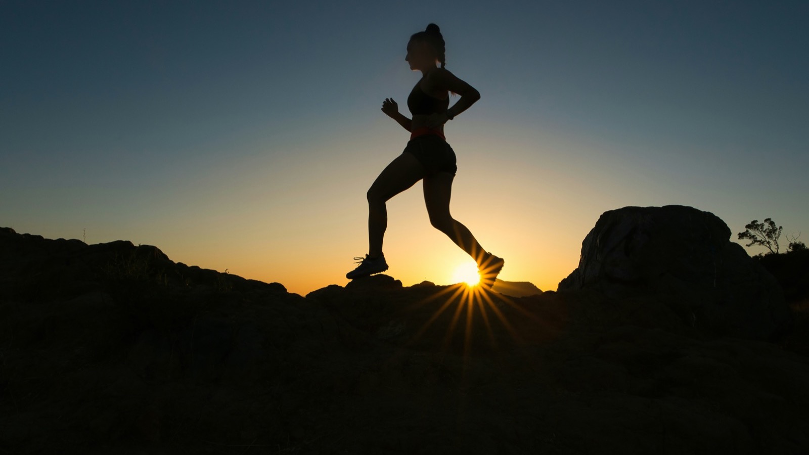 Fitness Age vs. Chronological Age: What Your Wearable Is Really Telling You