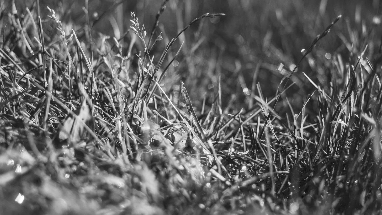 Late dinner and HRV: how meal timing can quietly ruin your recovery