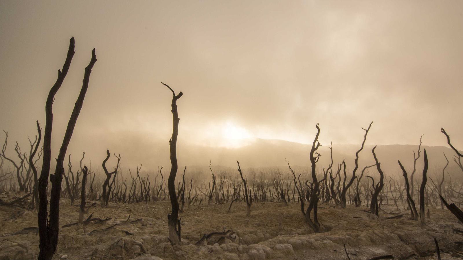 Zone 2 heart rate drift: How to tell if your easy run is actually easy